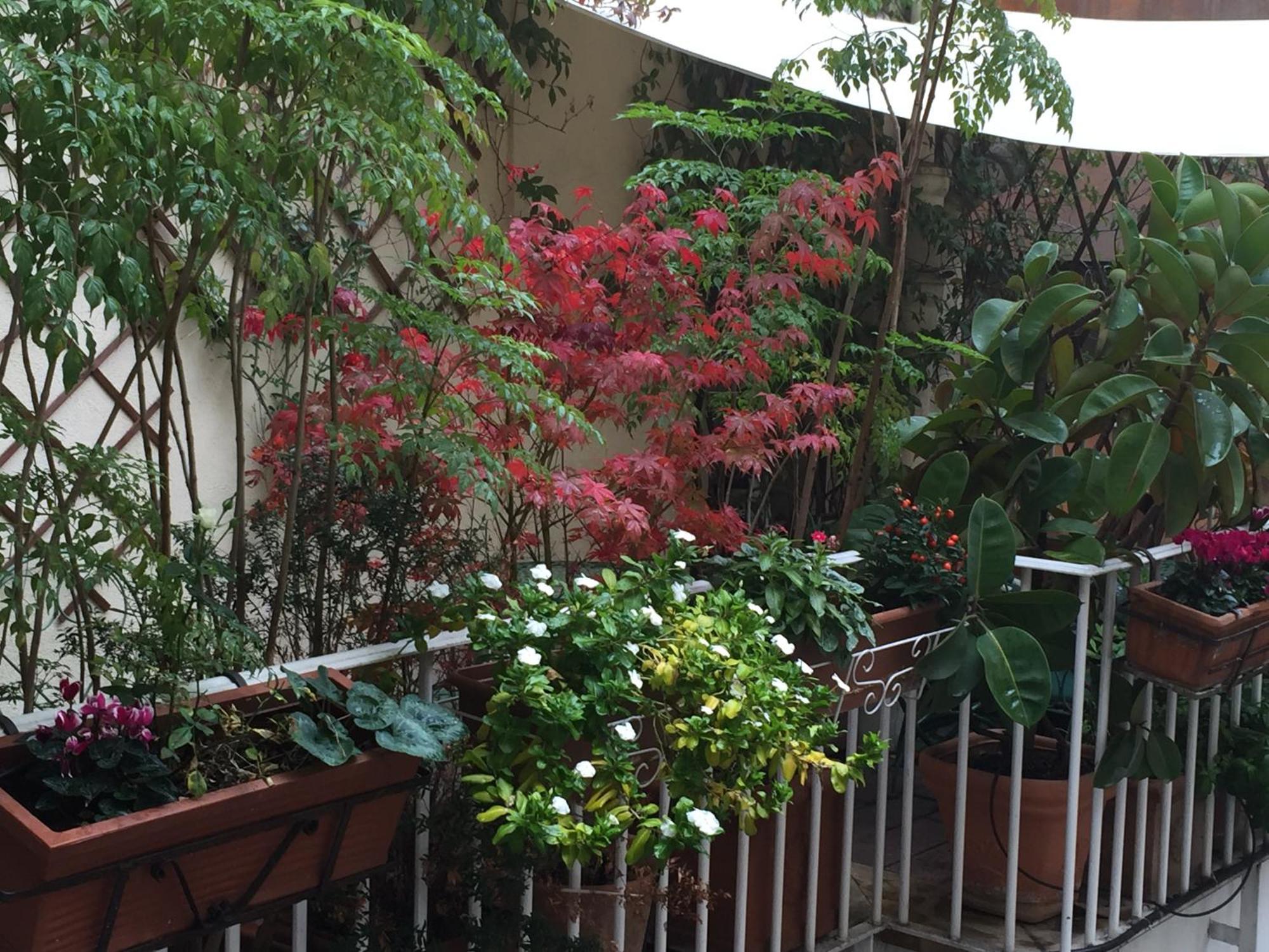 Relais Teatro Argentina, Rome